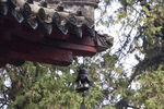 南阳武侯祠