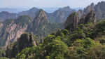 黄山松峰图