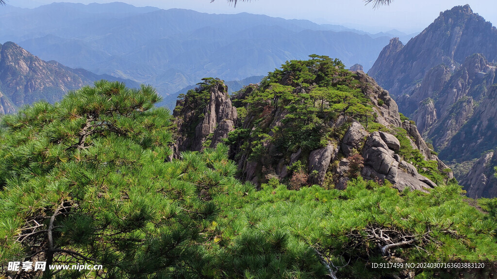 黄山奇松秀峰图