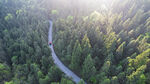 森林越野