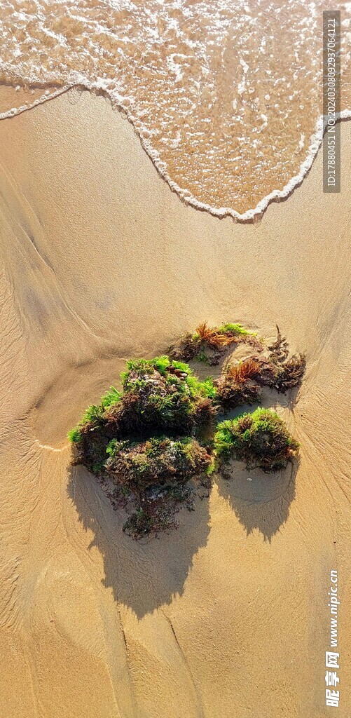 海浪