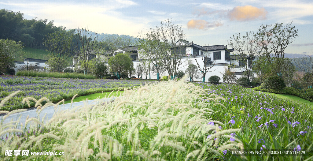 小区实景照片