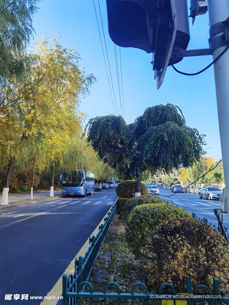 夏天街道
