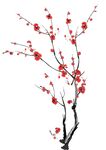 梅花