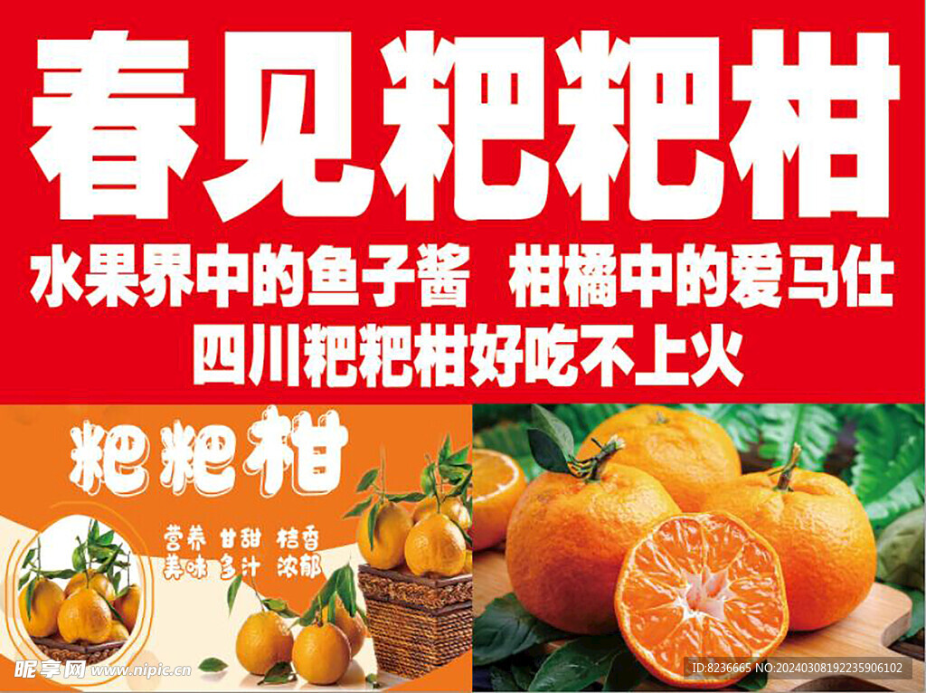 粑粑柑 海报  素材  