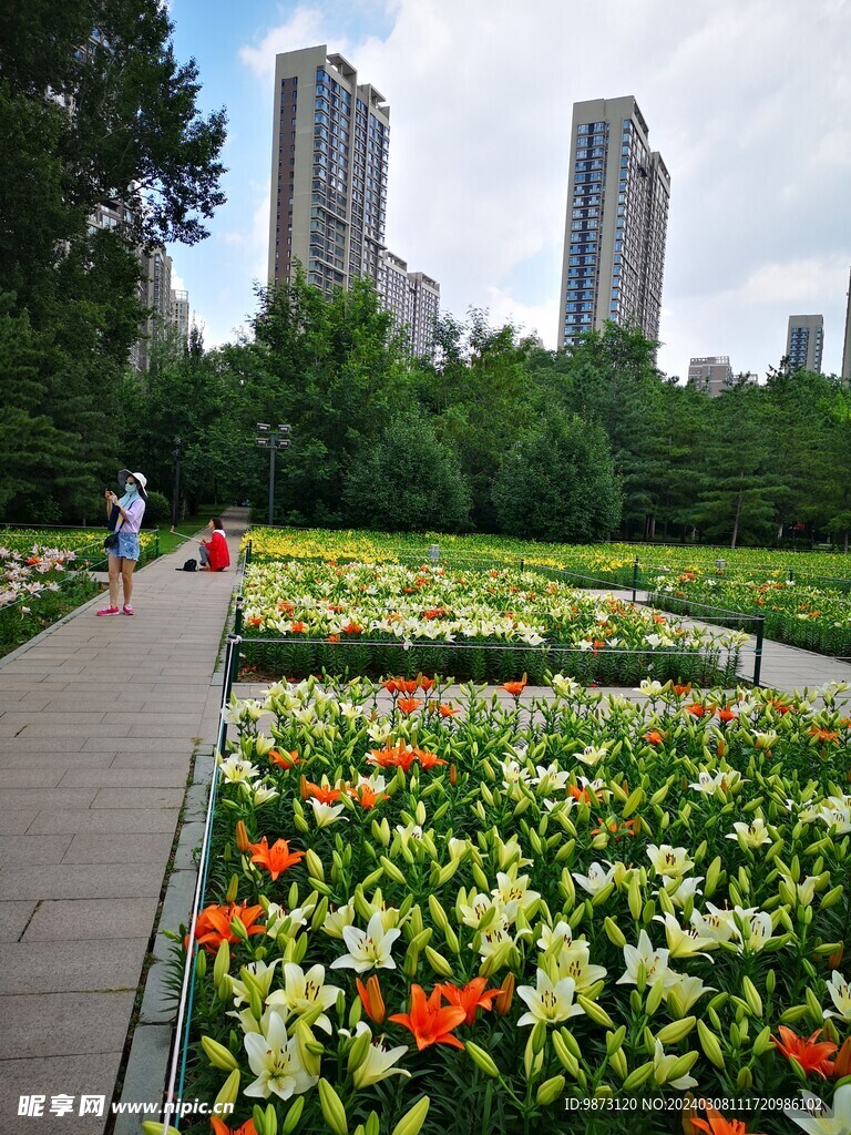 百合花海建筑