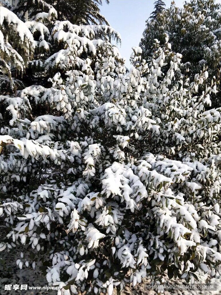 2018年雪景