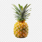 菠萝
