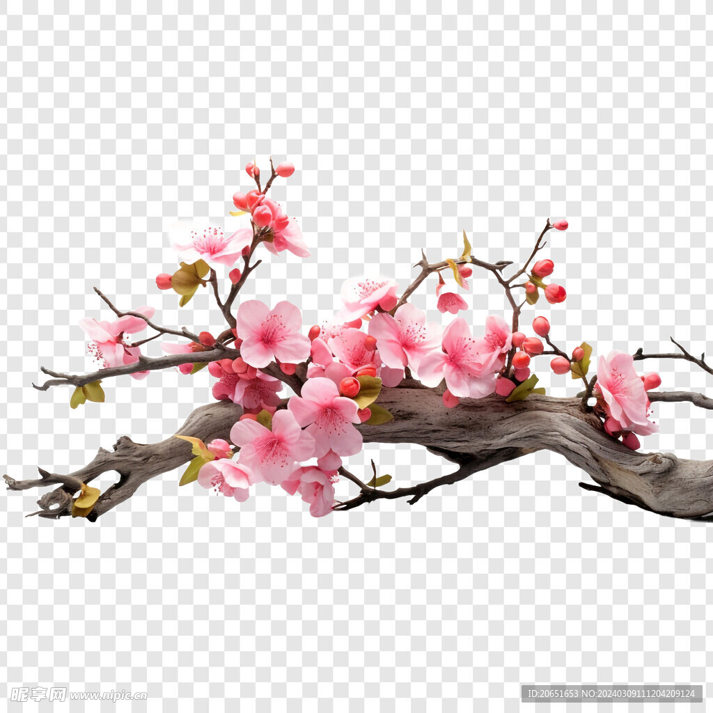 梅花