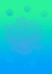 玫瑰花