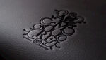 logo样机