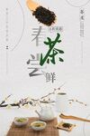 春茶尝鲜