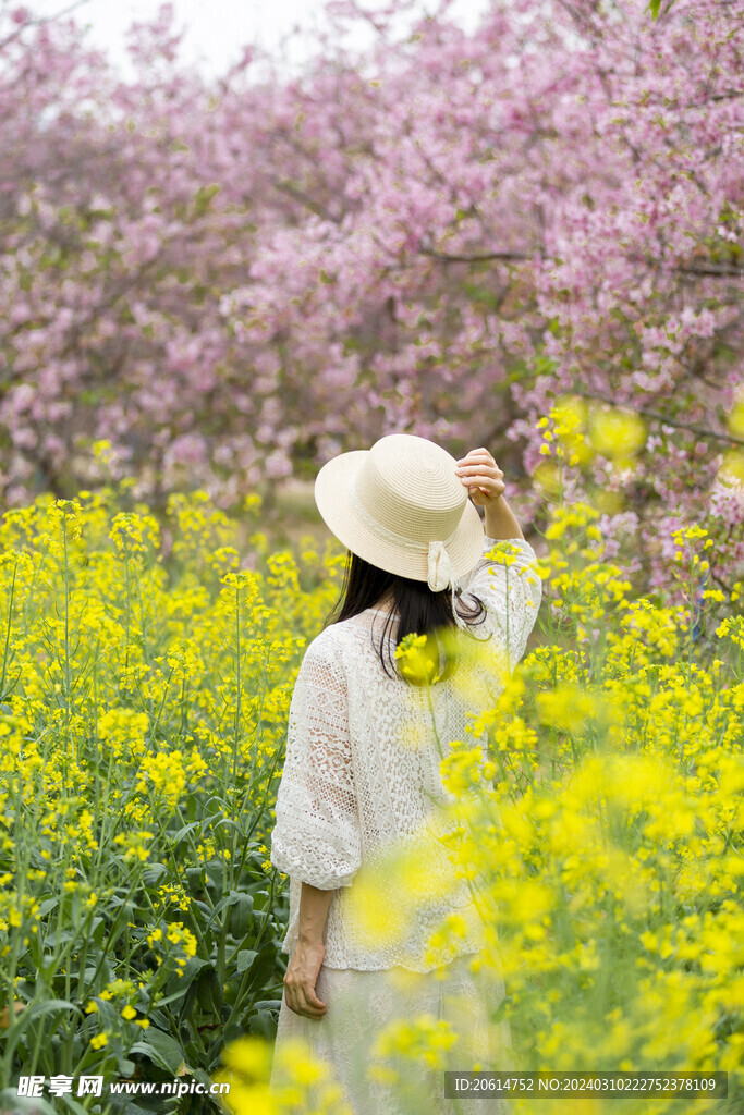 踏青赏花