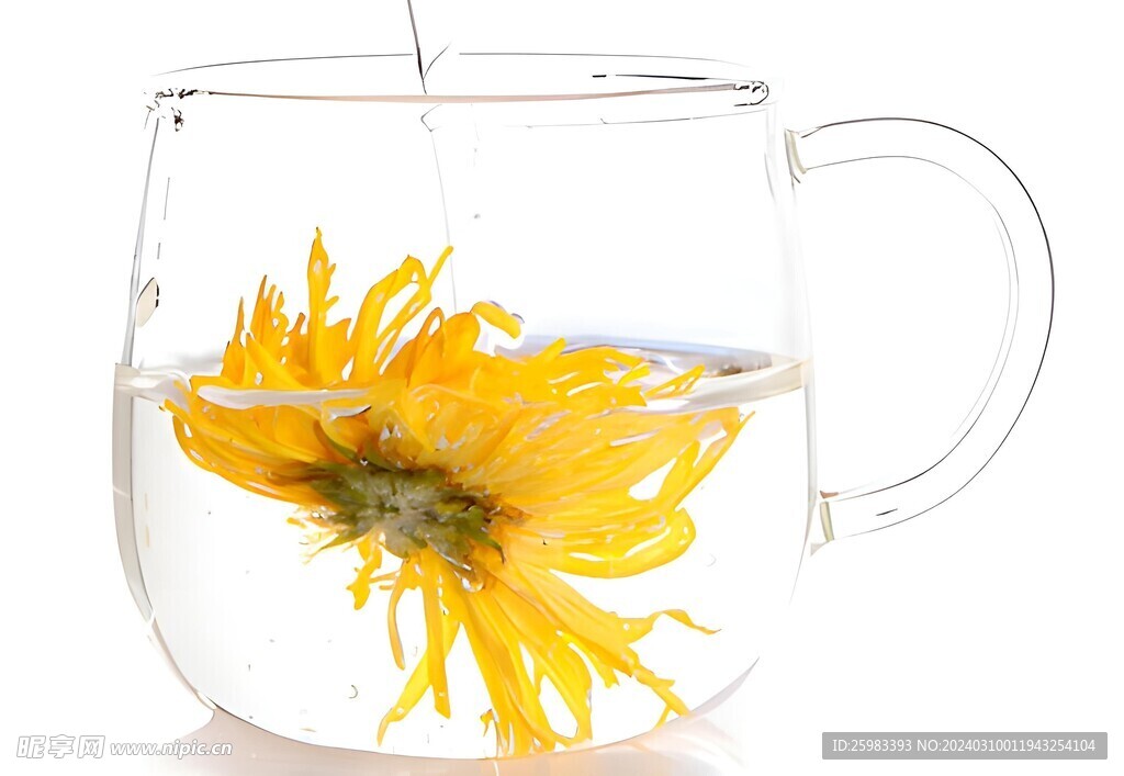菊花茶