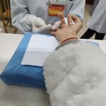 抽血化验