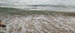 大海