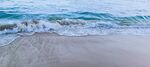 大海 