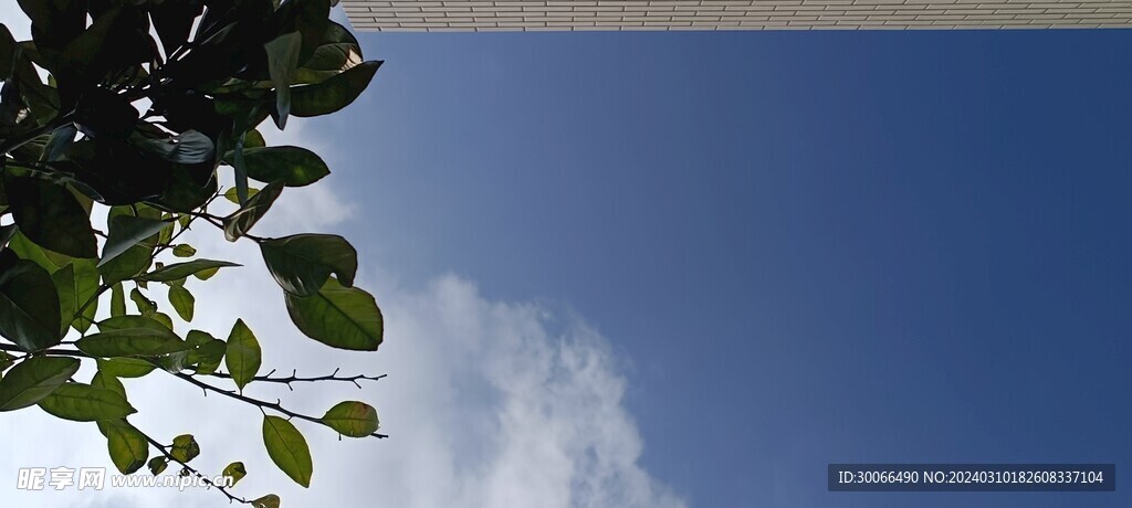 天空  