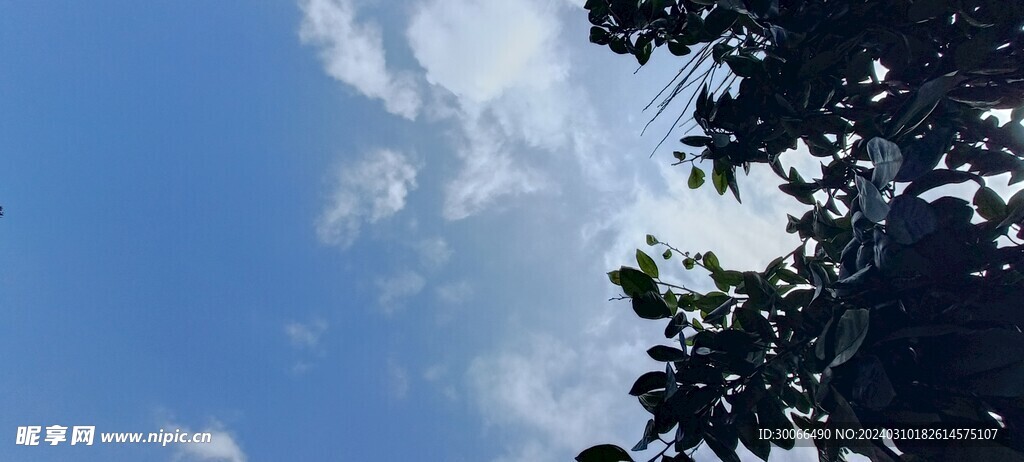天空 