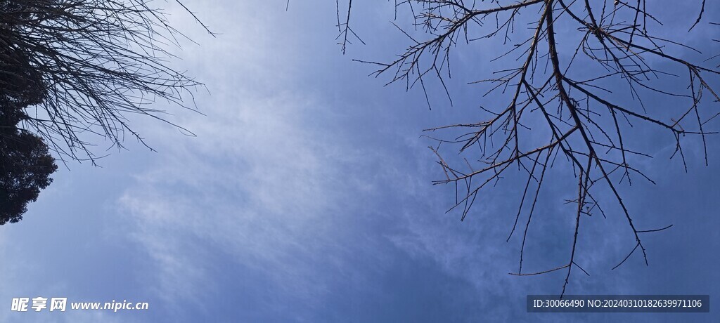 天空 