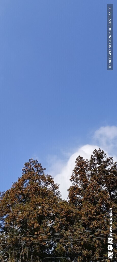 天空 