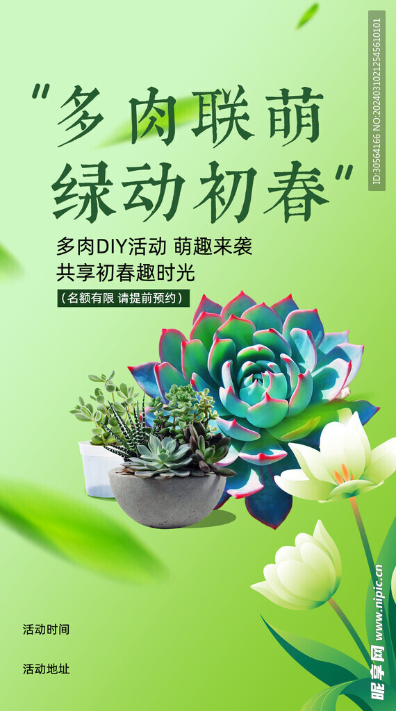 盆栽DIY活动海报