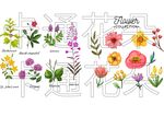 卡通花朵