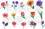 卡通花朵 花朵插画 
