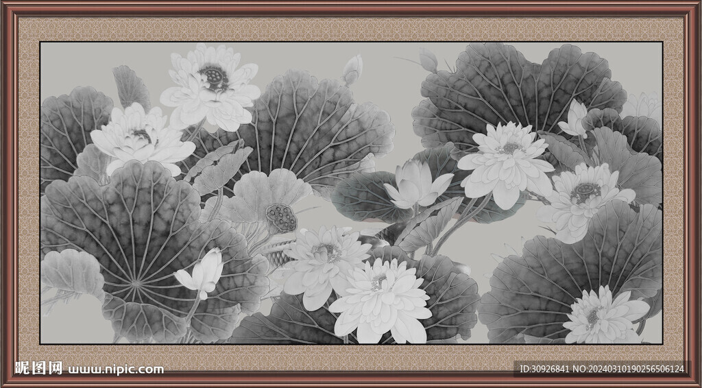 国画荷花 