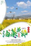 油菜花