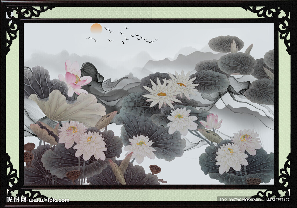 荷花 