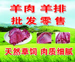 羊肉  羊排