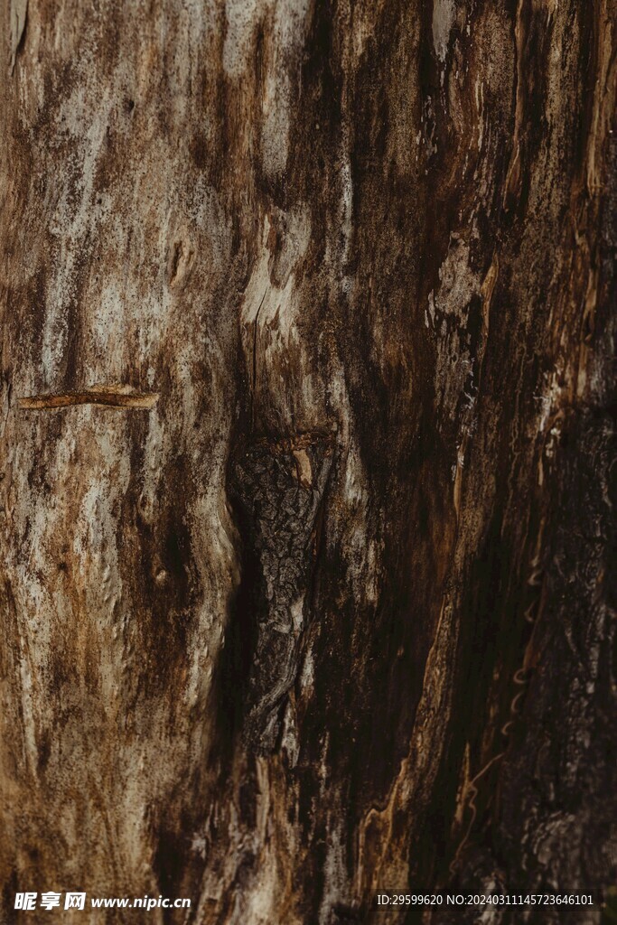 木纹 