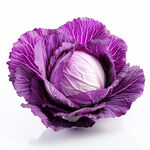 高清紫橄榄菜