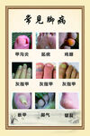 修脚