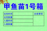 甲鱼苗1号箱