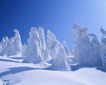 冬季雪景