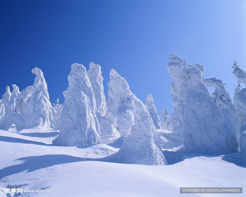 冬季雪景