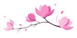 一支玉兰花花枝