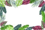 手绘水彩热带树叶背景