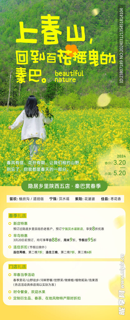 春季赏花 油菜花