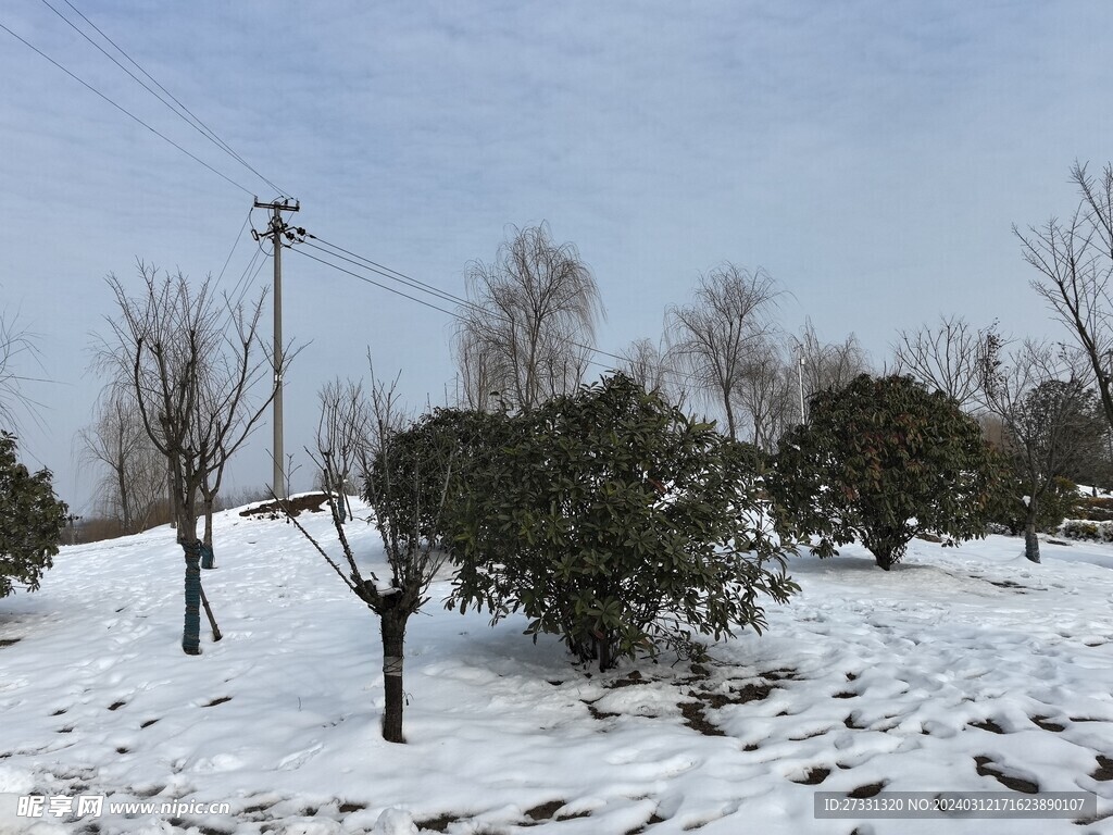 雪景