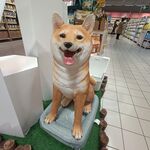 雕像狗
