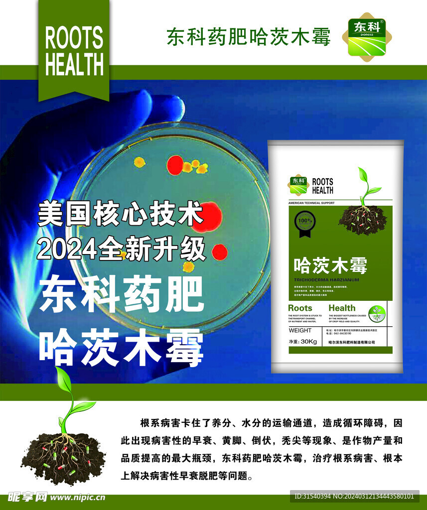 种子海报