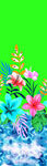 手绘花