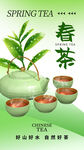 早春新茶海报
