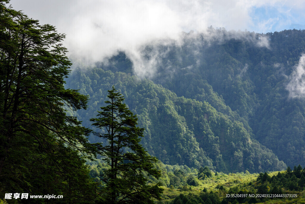 川西王岗坪风光  