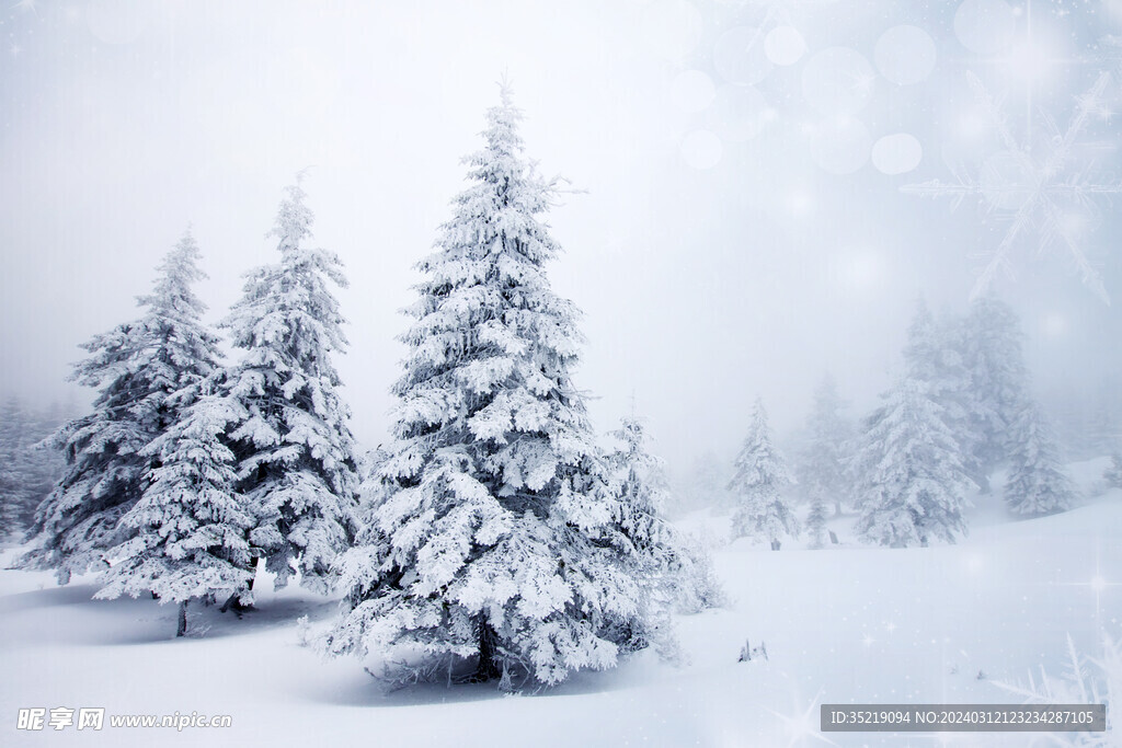 冬季雪景