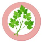 盘子里的香菜