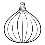  大蒜  线稿